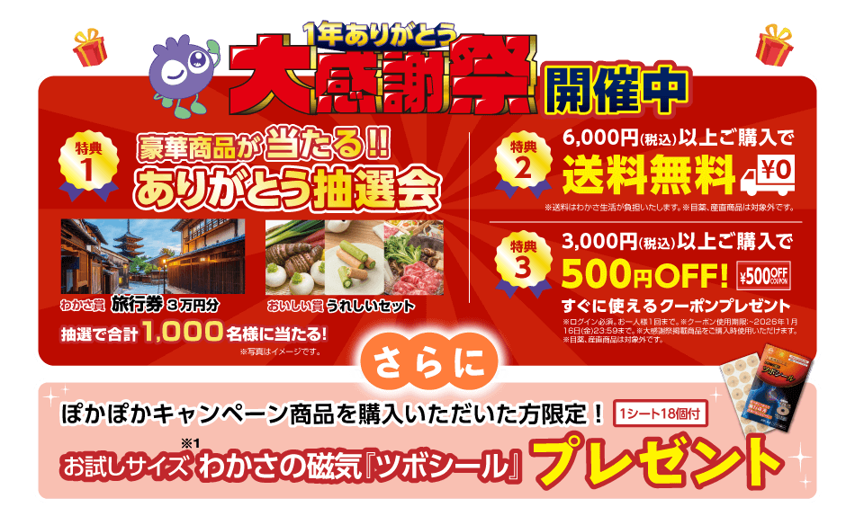 ぽかぽか第一弾「磁気特集」