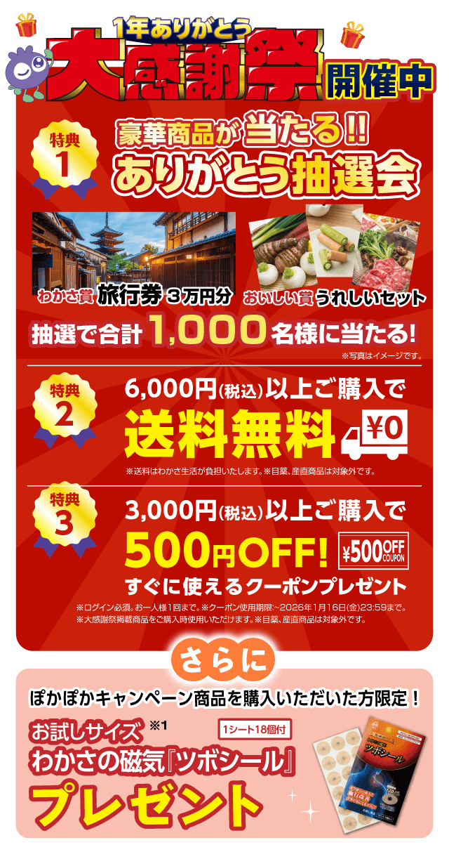 ぽかぽか第一弾「磁気特集」