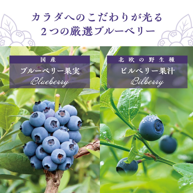 お料理にも使えるブルーベリーマジカルソース