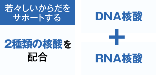 『DNA核酸』成分の画像