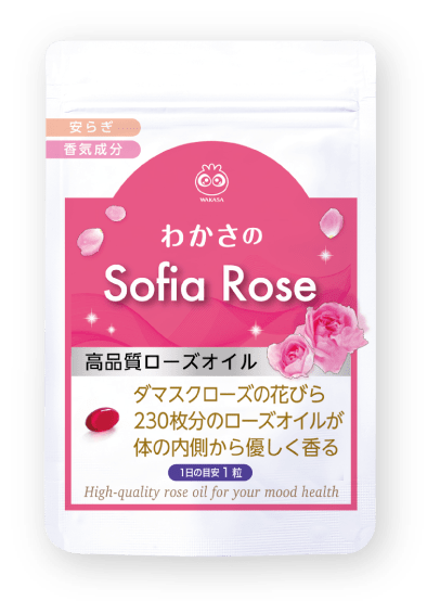 2024年パッケージ
