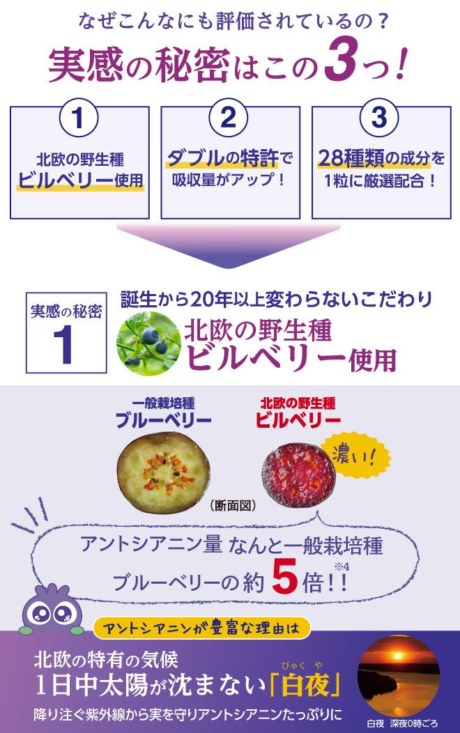 実感の秘密はこの3つ！北欧の野生種ビルベリー使用