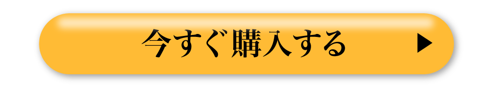 今すぐ購入する